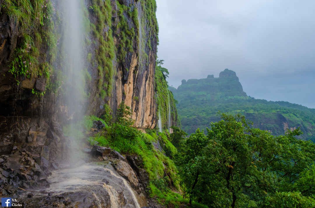Popular Travel Plans for Urbania on Rent Pune to Popular